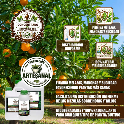 GREEN GOF Jabón Potásico Premium, 20L. Concentrado - Hongos Y Plagas - Actúa Por Contacto._2