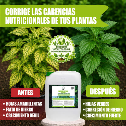 GREEN GOF Purin De Ortiga, 20L. Insecticida, Fungicida, Acaricida. Orgánico y 100% Natural. Curativo y Preventivo._5