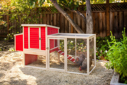 Gallinero Sonora Con Parque Para Exterior Capacidad 4-5 Aves - Ecoflex Material Sostenible Y Duradero. Fácil Montaje_5