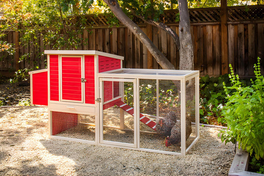 Gallinero Sonora Con Parque Para Exterior Capacidad 4-5 Aves - Ecoflex Material Sostenible Y Duradero. Fácil Montaje_0