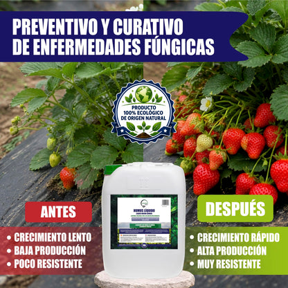 Green Gof Humus Líquido De Lombriz Premium 20l. Enriquecido Con Leonardita Y Melaza.fertilizante Rico En Microorganismos_5