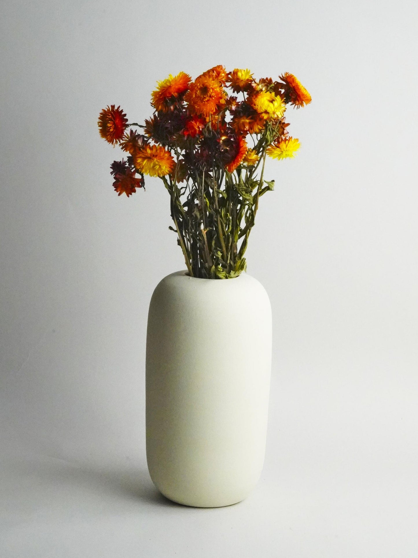 Helichrysum Flor Seca_2