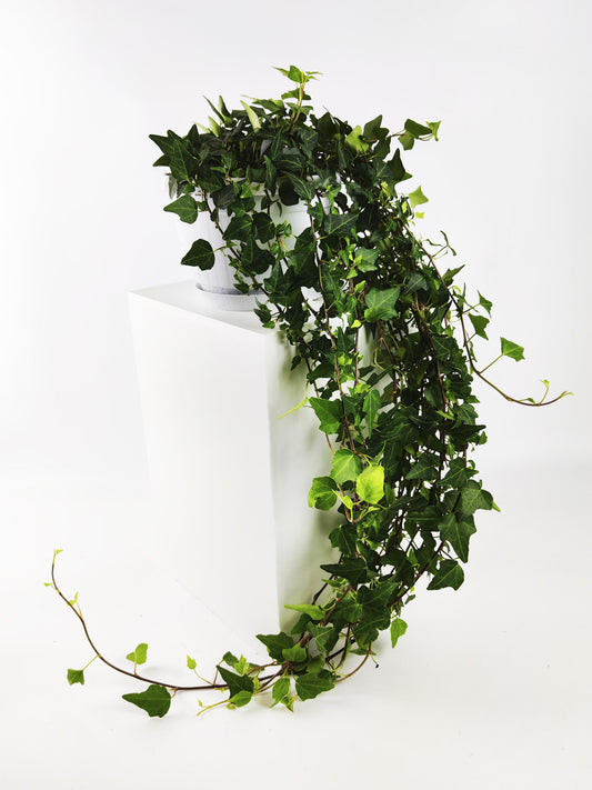 Hiedra O Hedera Colgante | Largo 110cm - Diámetro 24cm_0