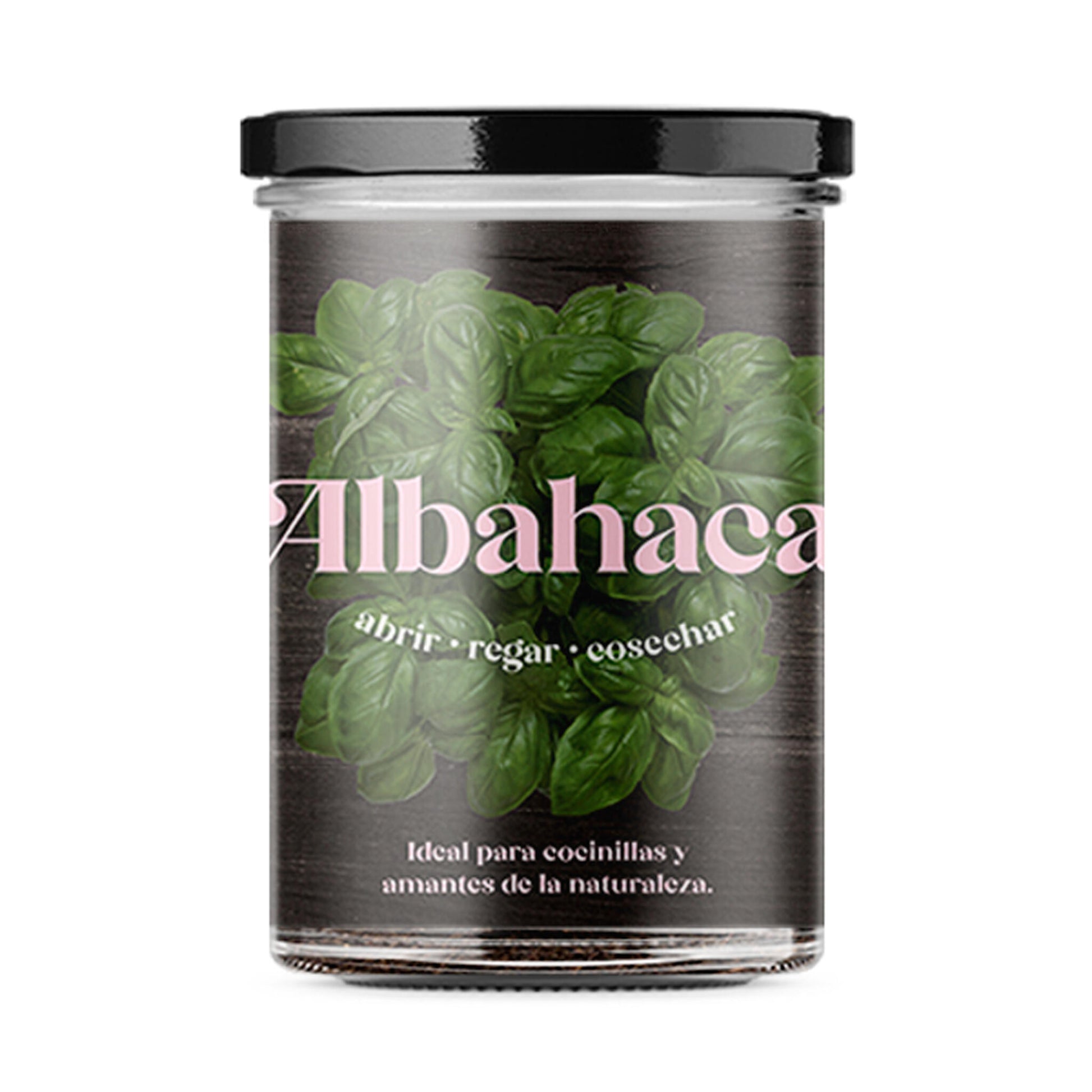 Huerto De Cocina De Albahaca_0