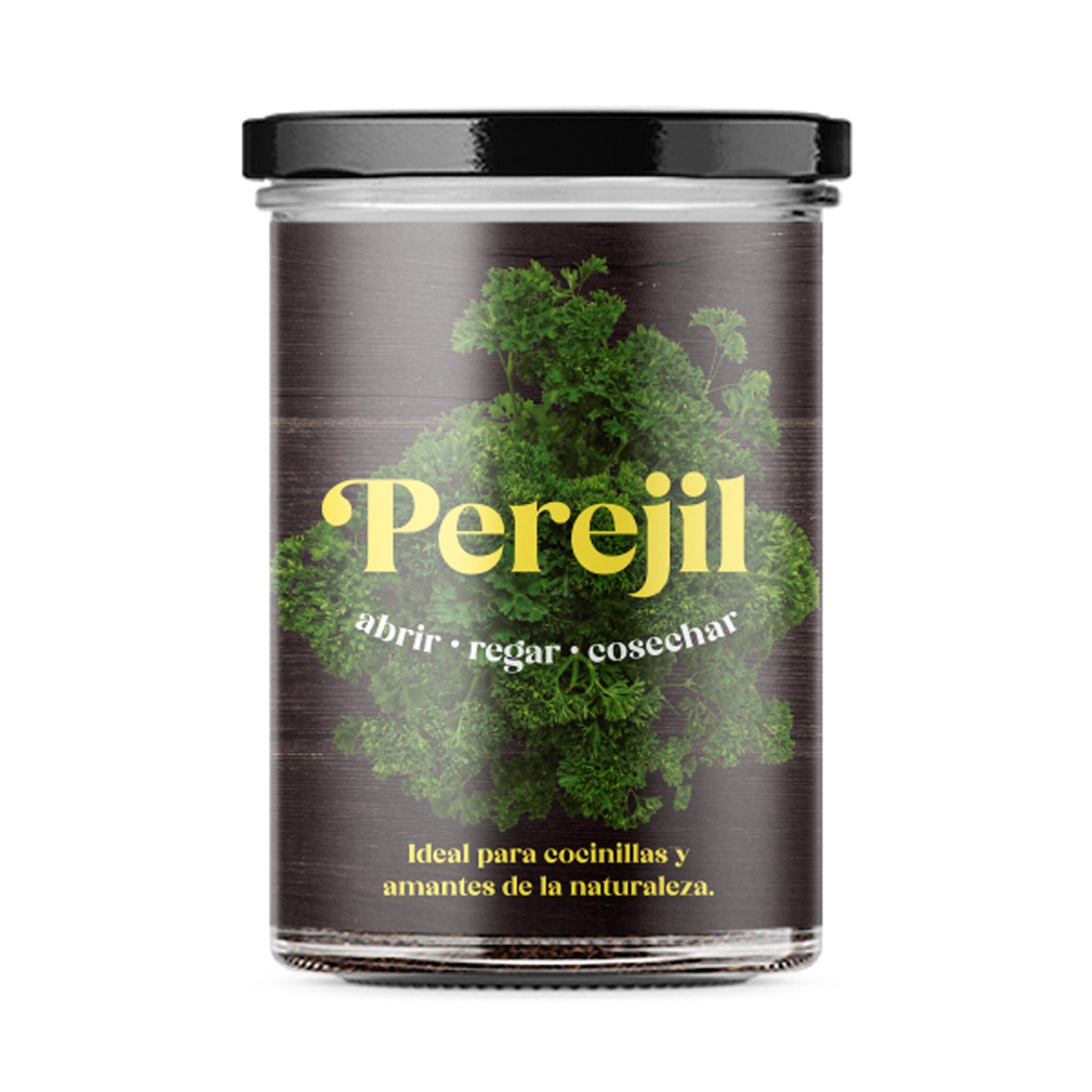 Huerto De Cocina De Perejil_0