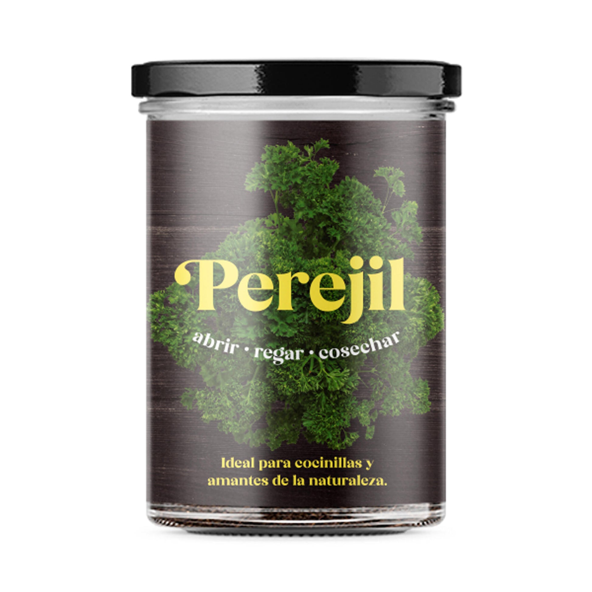 Huerto De Cocina De Perejil_0