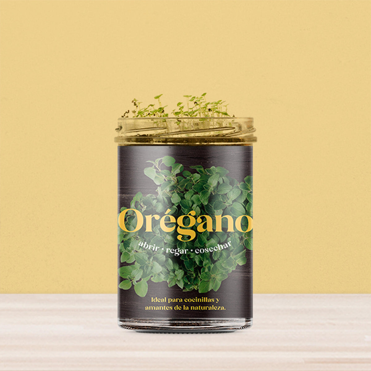 Huerto de Cocina de Orégano Kit de Cultivo con Semillas, Tarro Reutilizable y Sustrato | Regalo Original - Resetea_2