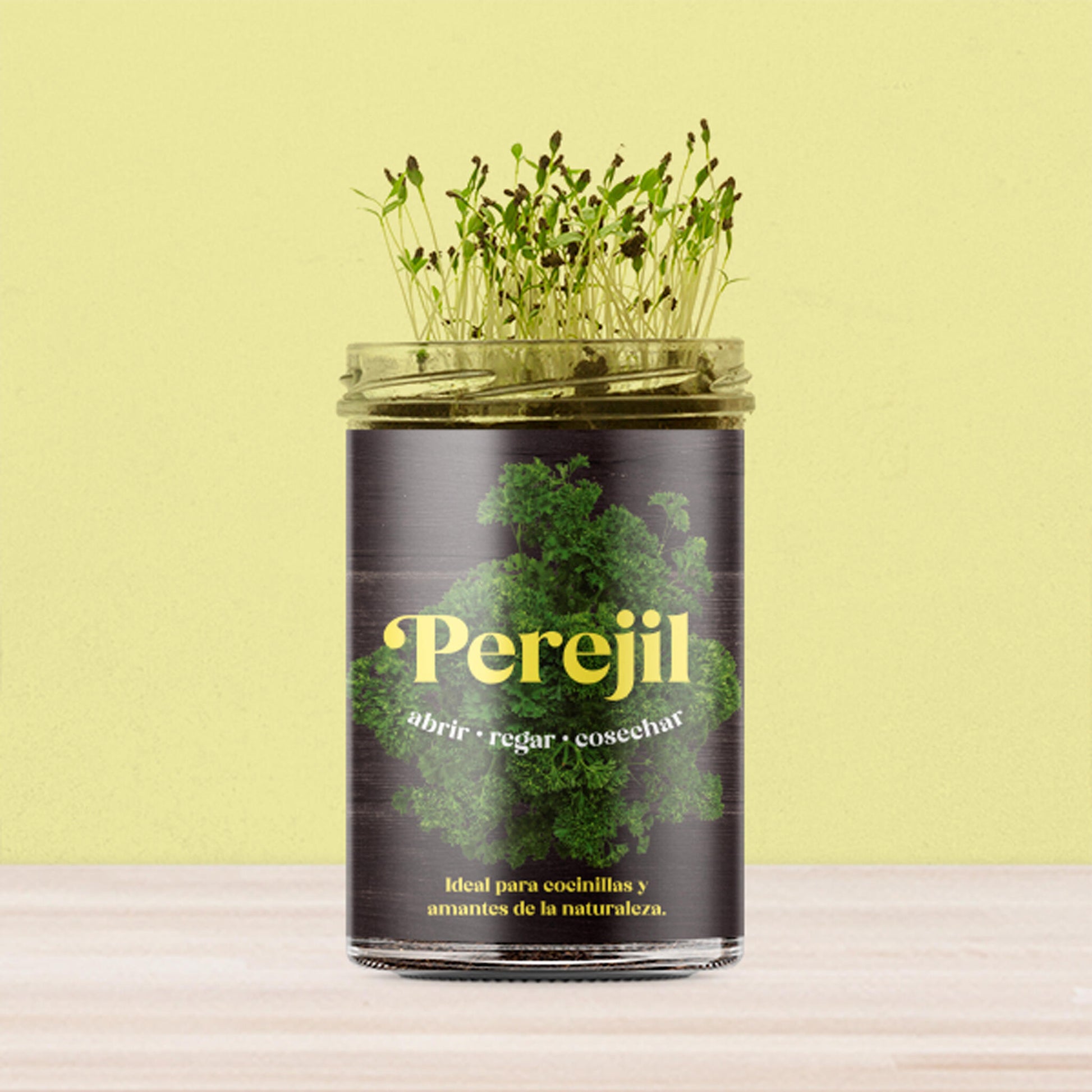 Huerto de Cocina de Perejil Kit de Cultivo con Semillas, Tarro Reutilizable y Sustrato | Regalo Original - Resetea_2