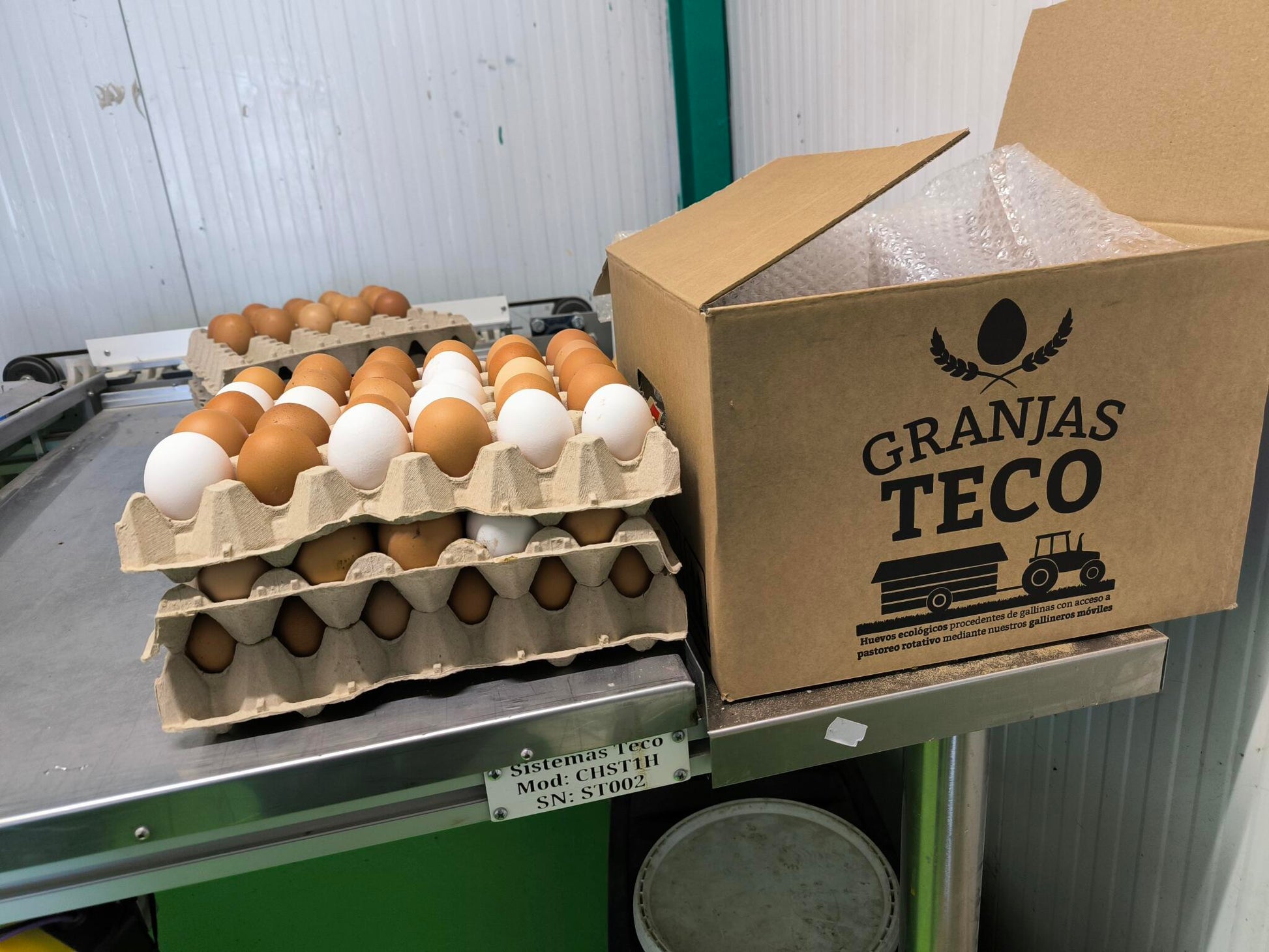 Huevos Ecológicos Extrafrescos De Pastoreo Regenerativo 90 unidades_1