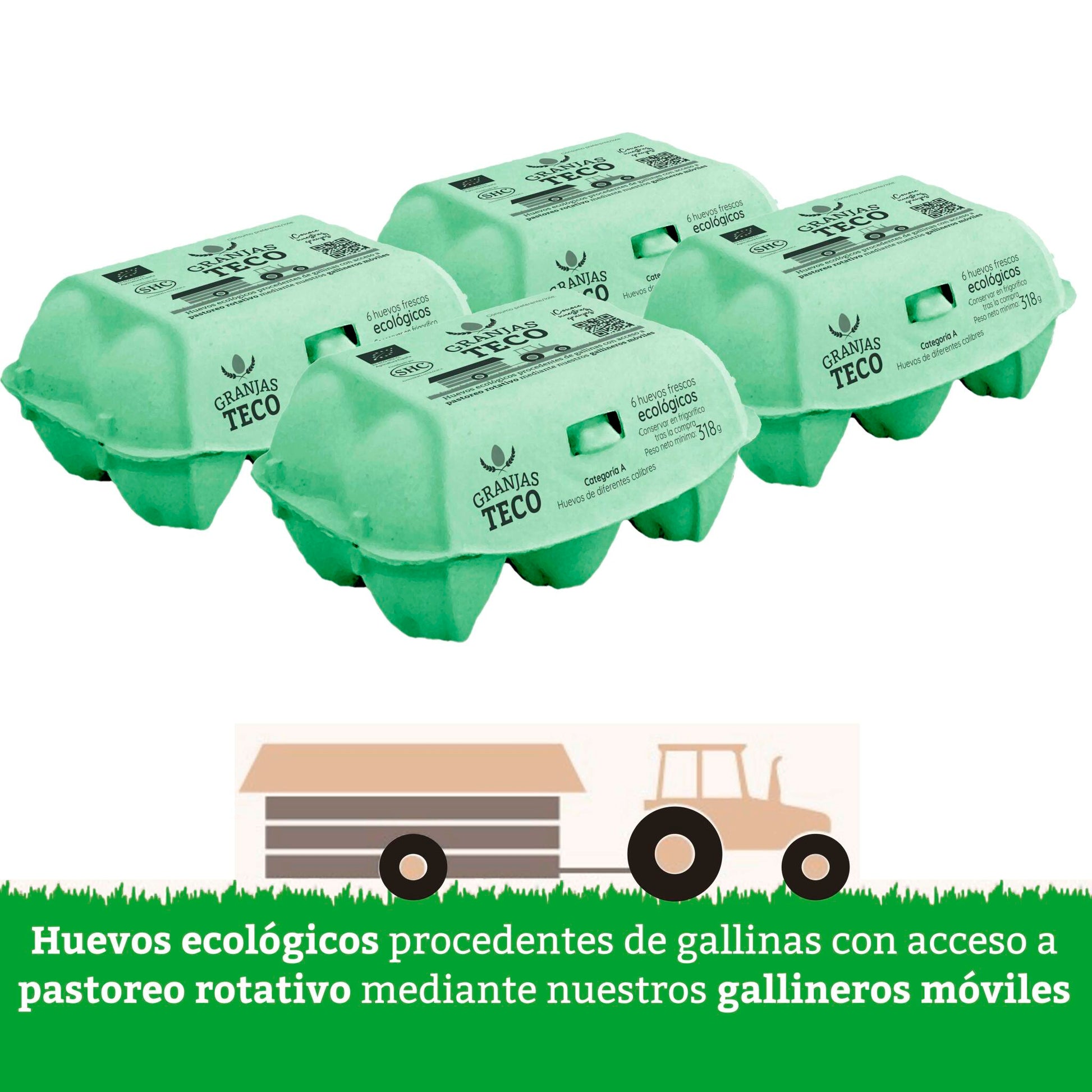Huevos Ecológicos de Pastoreo Regenerativo (2 Docenas en estuches de 6)_0