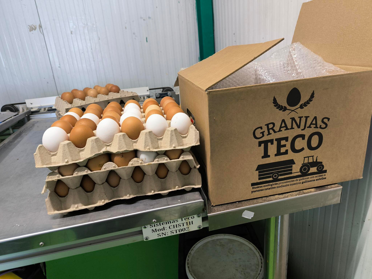 Huevos Ecológicos de Pollita Extrafrescos De Pastoreo Regenerativo 90 unidades_1