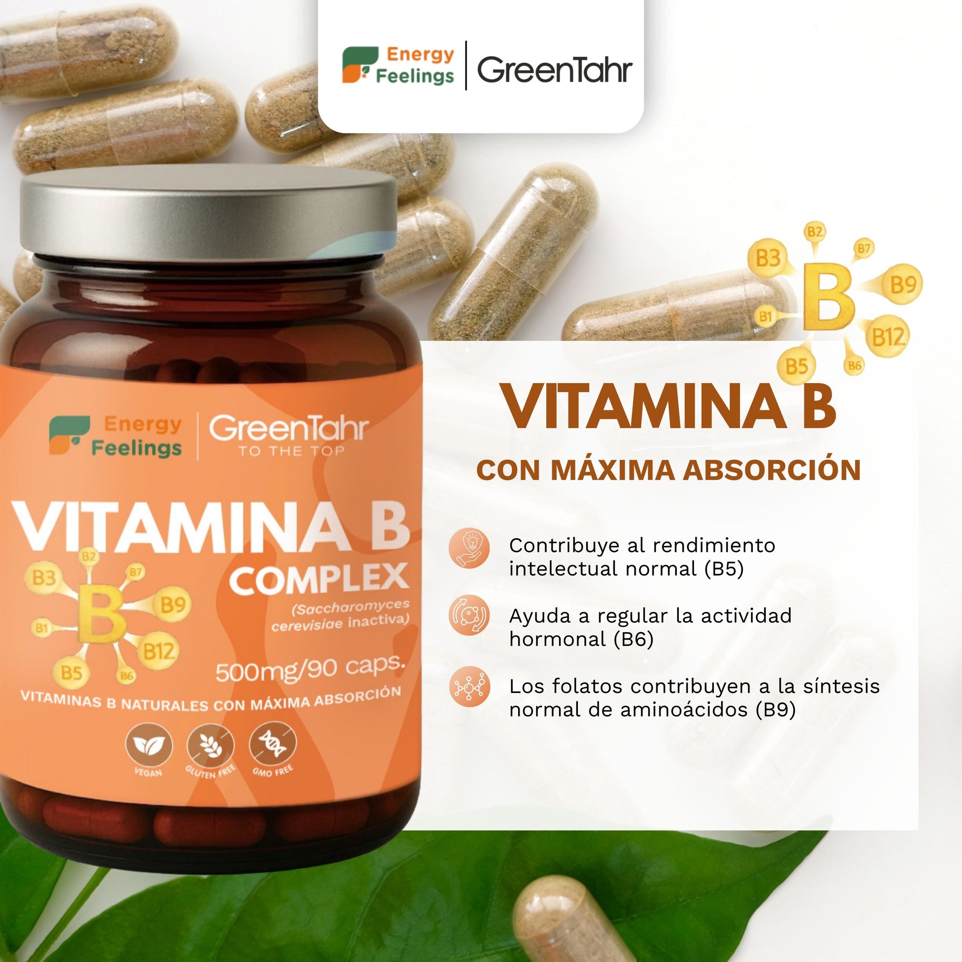 VITAB Biodisponible Energy Feelings cápsulas (90ud/500mg)
