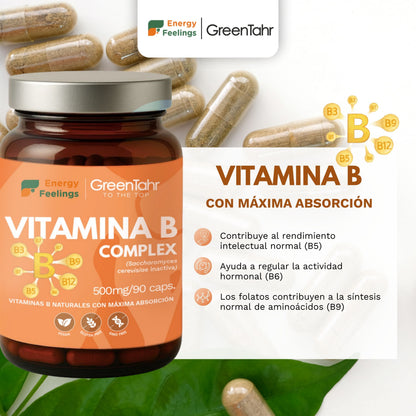 VITAB Biodisponible Energy Feelings cápsulas (90ud/500mg)