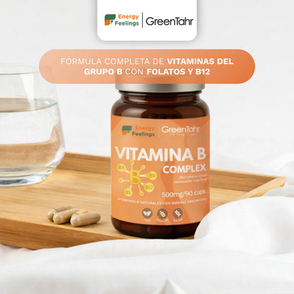 VITAB Biodisponible Energy Feelings cápsulas (90ud/500mg)