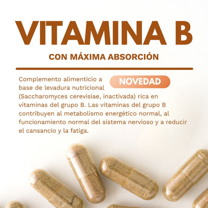 VITAB Biodisponible Energy Feelings cápsulas (90ud/500mg)