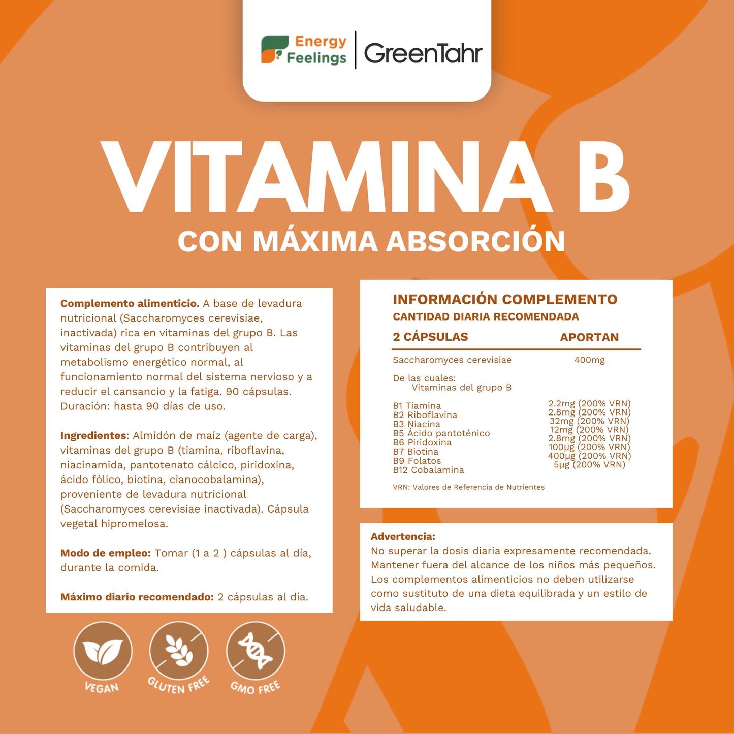 VITAB Biodisponible Energy Feelings cápsulas (90ud/500mg)