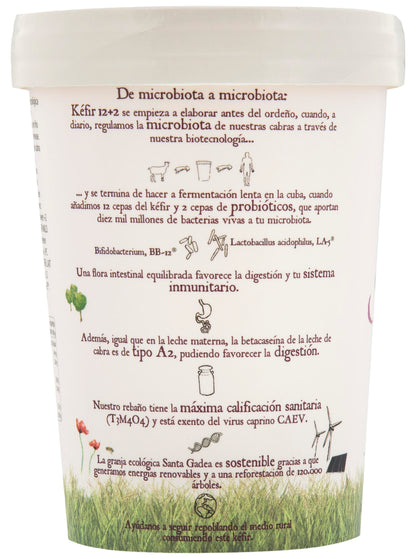 Kéfir De Cabra Ecológico Con Probióticos. 6x420 g._2