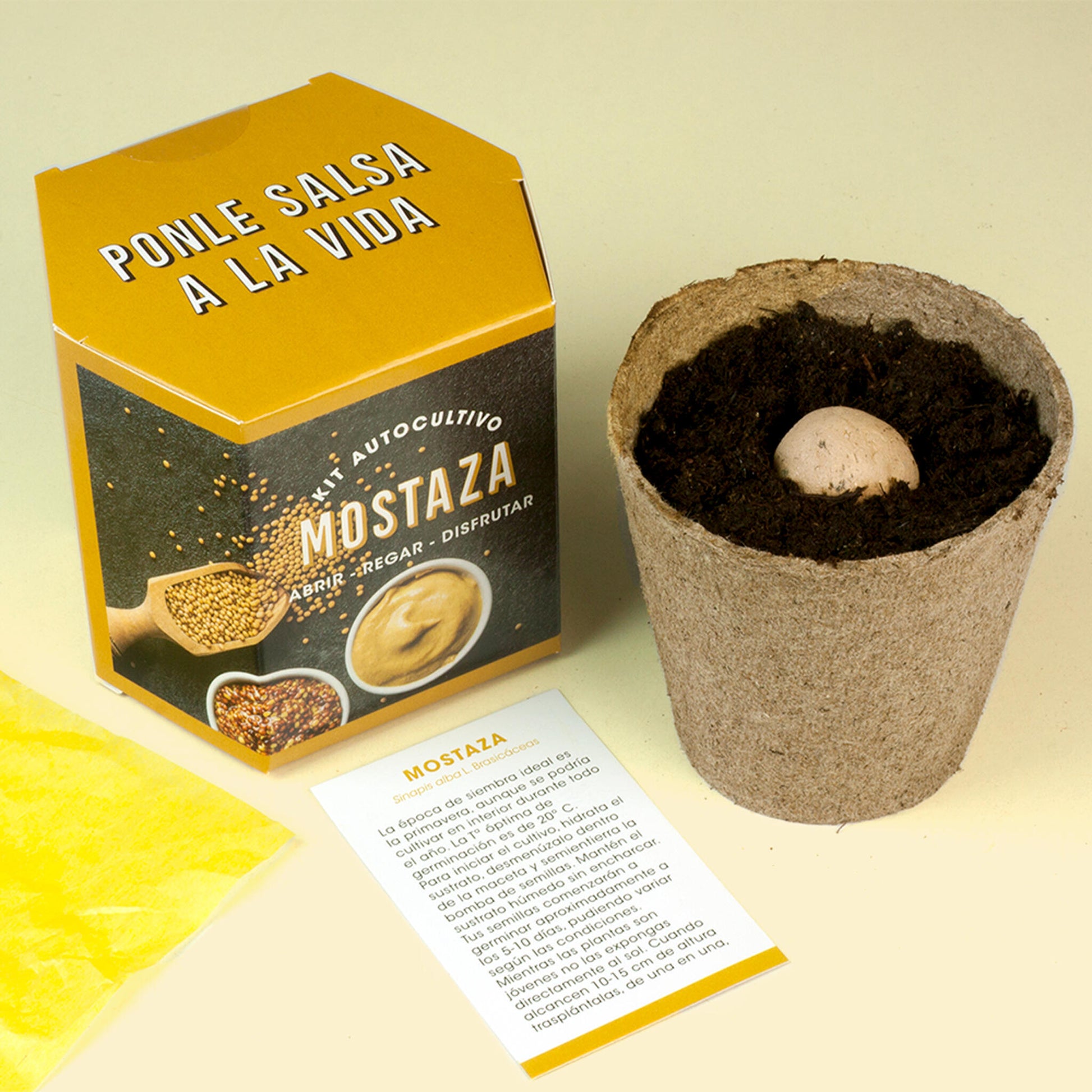 Kit Autocultivo De Mostaza | Cultiva Tus Propias Semillas En Casa | Fácil Y Rápido_2