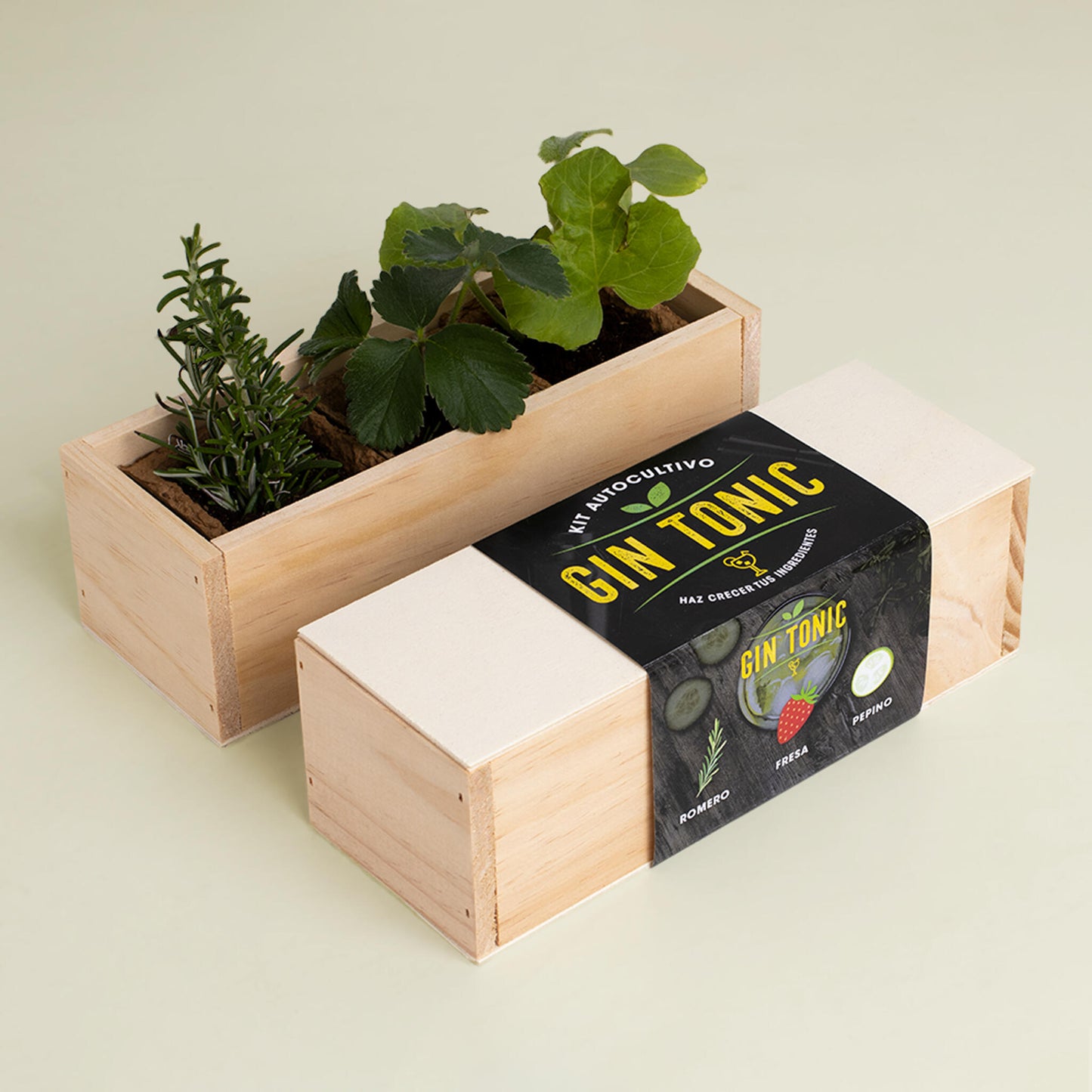 Kit Autocultivo Gin Tonic Romero, Fresa y Pepino | Regalo Original para Amantes de Cócteles - Resetea_1