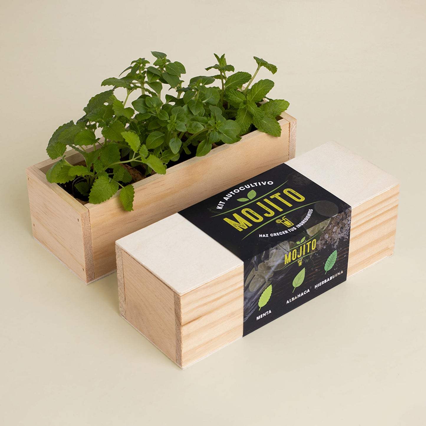 Kit Autocultivo Mojito Menta, Albahaca y Hierbabuena | Regalo Original para Cócteles - Resetea_1