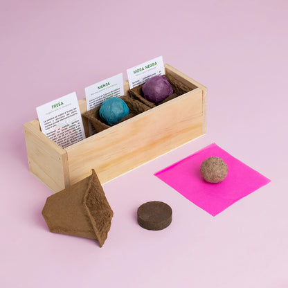 Kit Autocultivo Postres | Cultiva Fresa, Menta Y Mora En Casa | Ideal Para Repostería Y Smoothies | Regalo Dulce_2