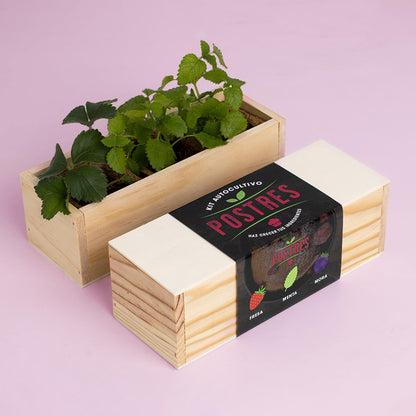 Kit Autocultivo Postres Fresa, Menta y Mora | Ideal para Repostería y Smoothies - Resetea_1