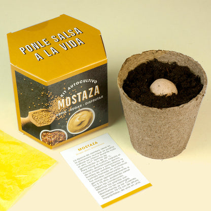 Kit Autocultivo de Mostaza Cultiva tus Propias Semillas en Casa | Fácil y Rápido - Resetea_2