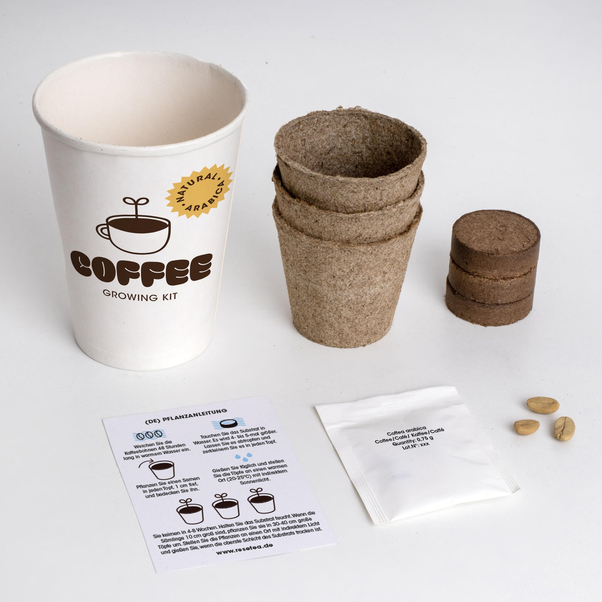 Kit Cultivo De Café | Cultiva Tu Propio Cafeto En Casa | Regalo Original Para Amantes Del Café_1