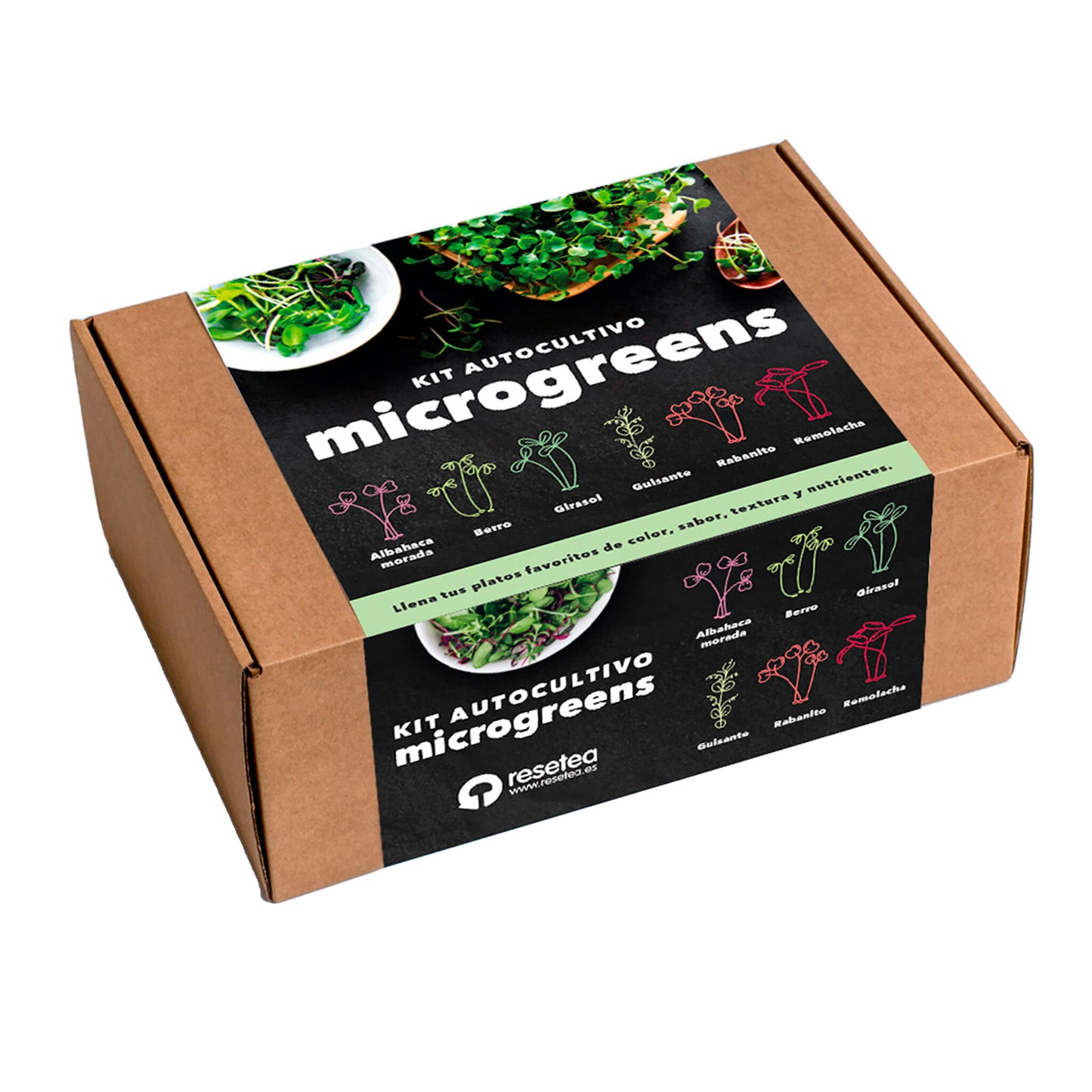 Kit Cultivo Microgreens | Albahaca Morada, Berro, Girasol, Guisante, Rabanito Y Remolacha En Casa_0