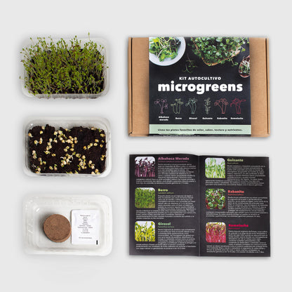Kit Cultivo Microgreens | Albahaca Morada, Berro, Girasol, Guisante, Rabanito Y Remolacha En Casa_2
