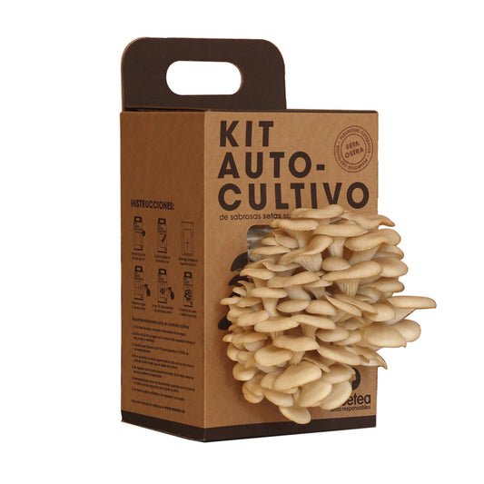 Kit Cultivo de Setas Ostra Ingrediente Gourmet | Cultivo Fácil | Regalo Original | Resetea_0