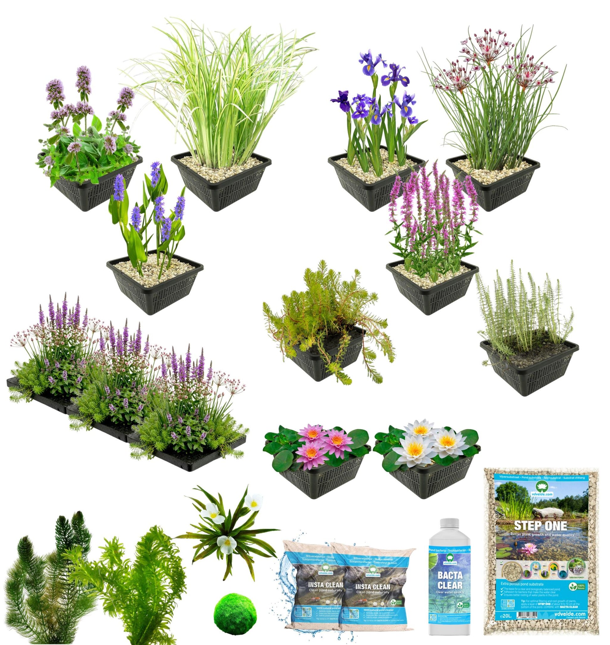 Kit Para Estanques Multi 1500-3000 L - Nenufar Plantas_2