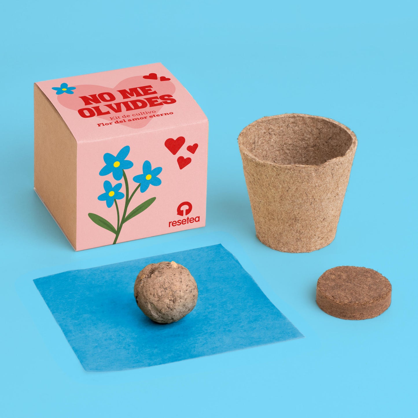 Kit de Cultivo Nomeolvides Semillas, Maceta y Sustrato | Regalo Original - Resetea_1