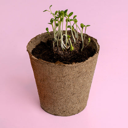 Kit de Cultivo Urban Flowers Azules Lino Azul, Nomeolvides y Aciano | Semillas para Interior y Exterior - Resetea_2
