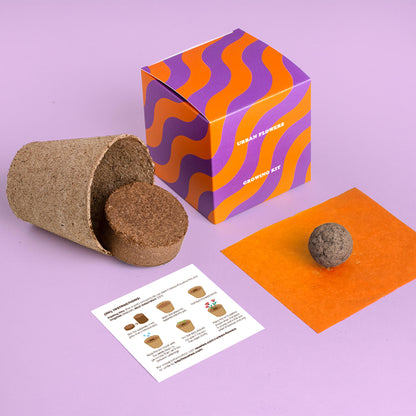 Kit de Cultivo Urban Flowers Naranjas Caléndula, Capuchina y Tagetes | Semillas para Interior y Exterior - Resetea_1