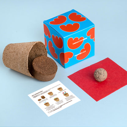 Kit de Cultivo Urban Flowers Rojas Amapola, Lino Rojo y Clavel del Poeta | Semillas para Interior y Exterior - Resetea_1