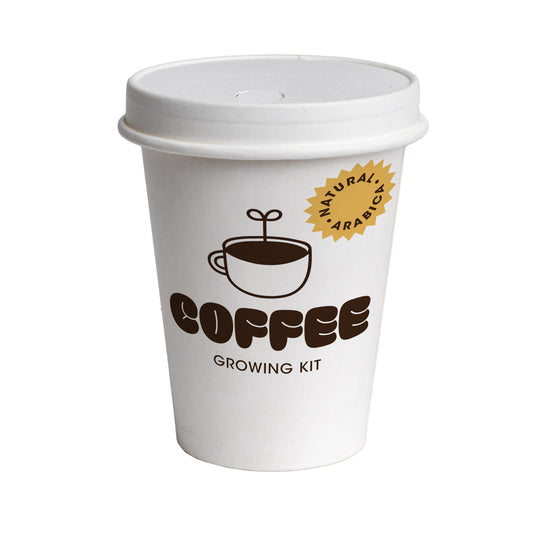 Kit de Cultivo de Café Arábica Cultiva tu Propio Cafeto en Casa | Regalo Original - Resetea_0