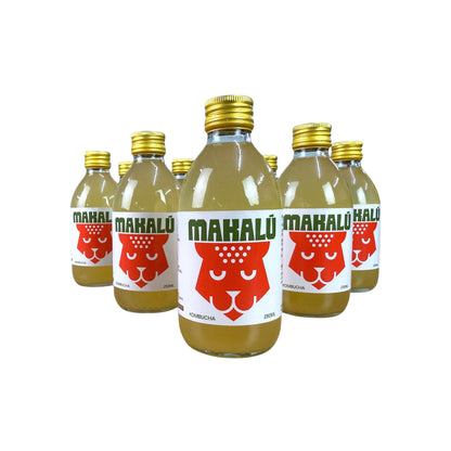 Kombucha vegana Makalú Pack 12 unidades de Vidrio 250ml Sabor Hierbabuena_0