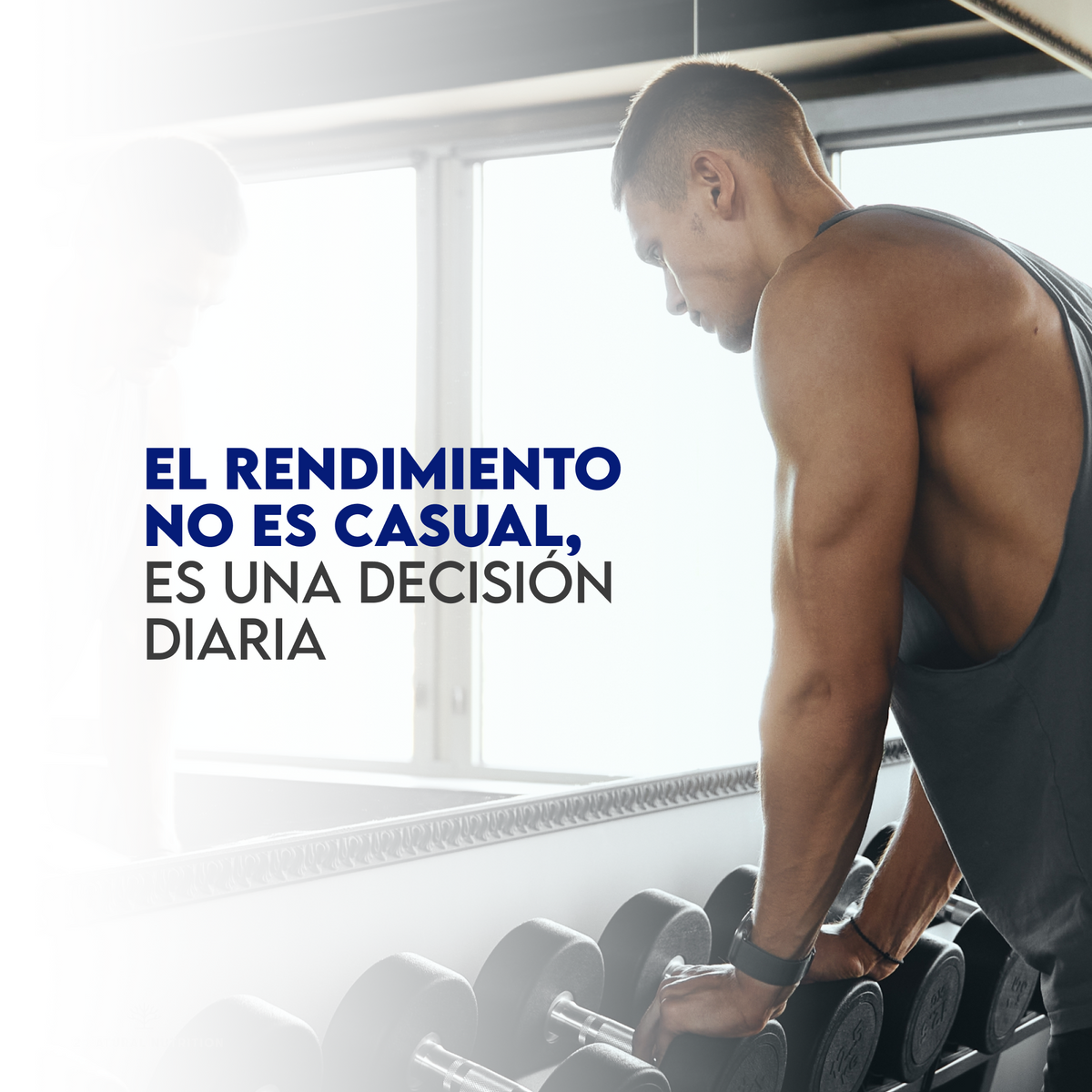 L-Carnitina 2000 60 días Quemagrasa N2 Natural Nutrition 120 cápsulas