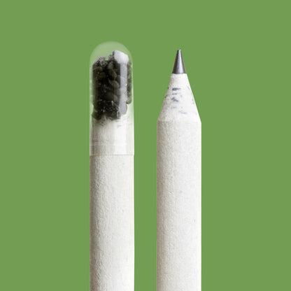 Lápiz Plantable De Albahaca | Escribe, Dibuja Y Plántalo_3