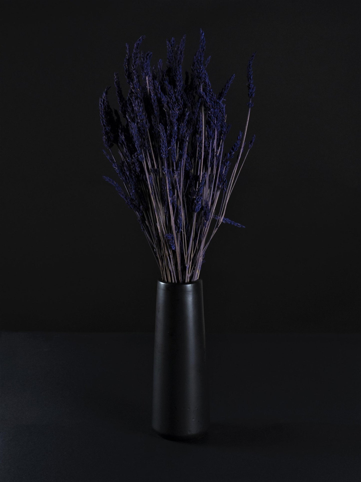 Lavanda Seca_2