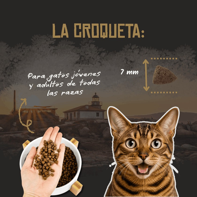 Pienso para Gatos Adultos Aves de Corral Grain Free Lenda 2 kg