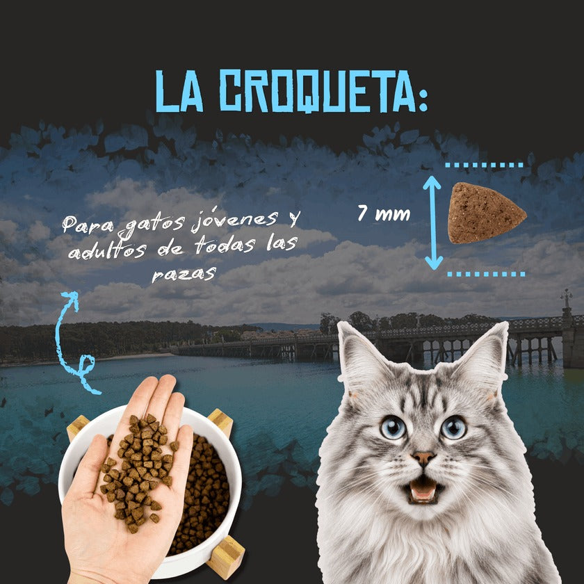 Pienso Light para Gatos Esterilizados Grain Free Lenda 2 kg