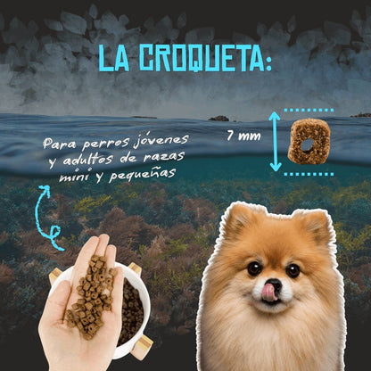 Pienso Light para Perros Pequeños Esterilizados Lenda 2 kg