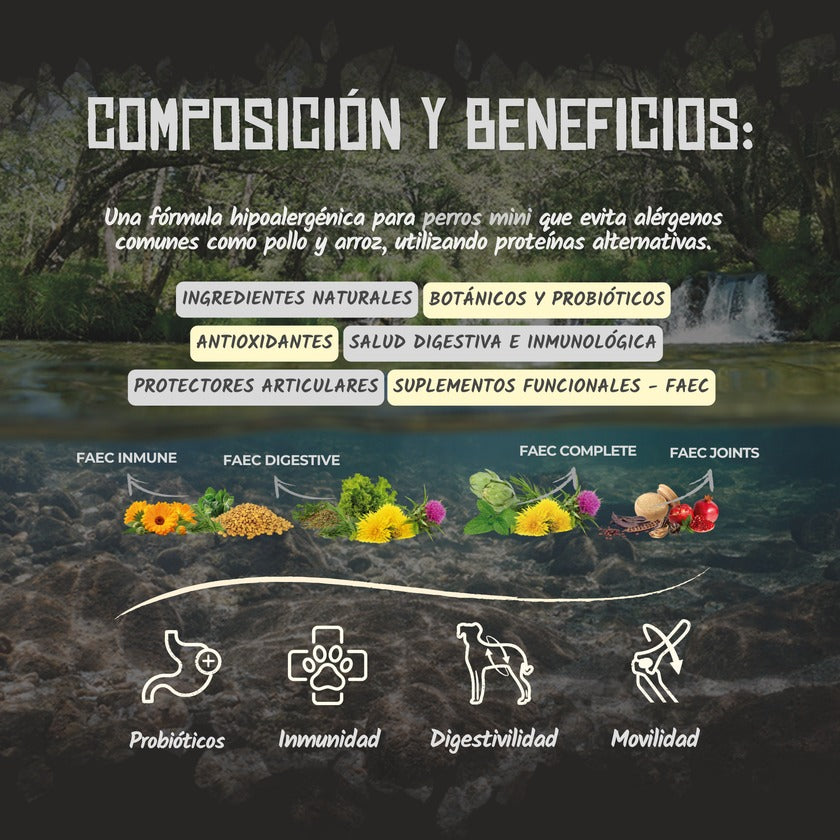 Pienso Hipoalergénico para Perros Pequeños Grain Free Lenda 2 kg