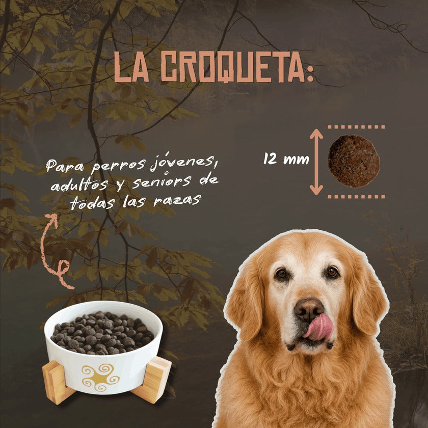 Pienso para Perros Senior Articulaciones Mobility Lenda 3 kg