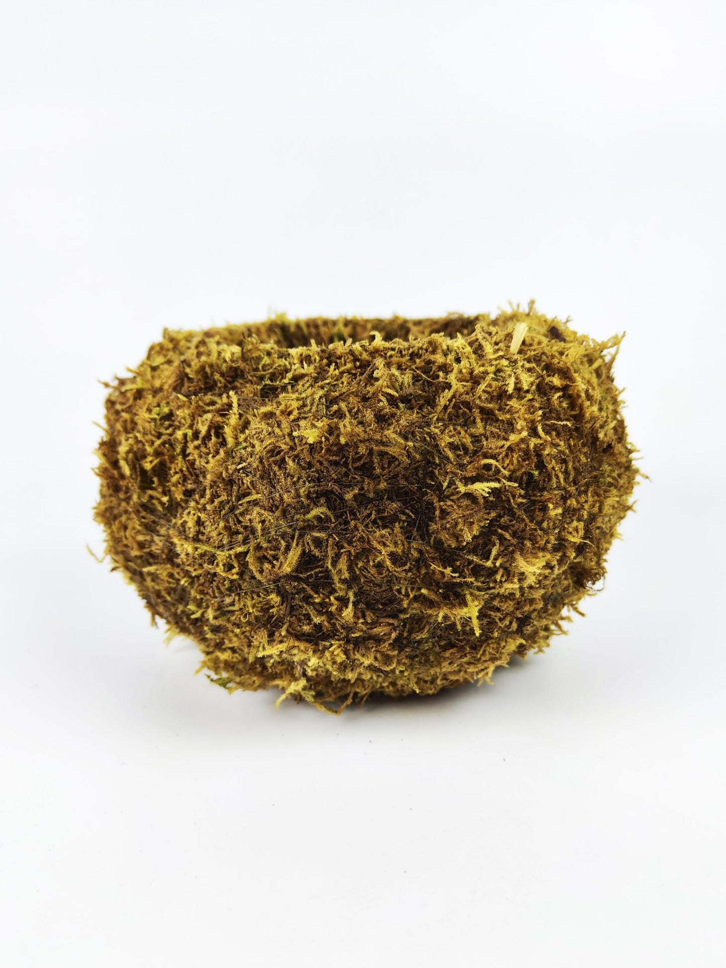 Maceta Kokedama L_4