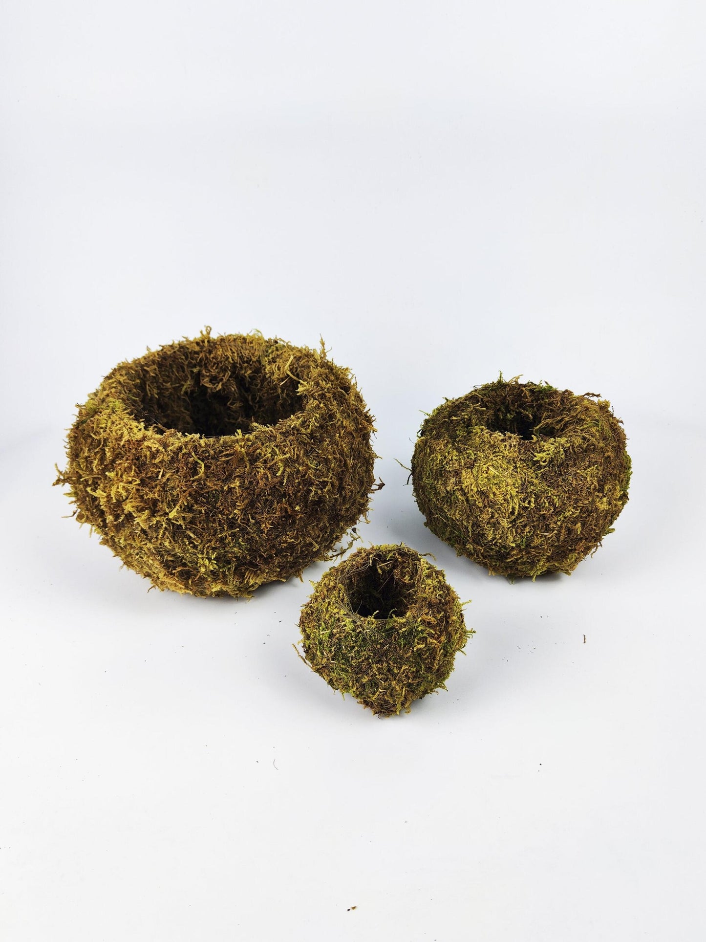 Maceta Kokedama L_5
