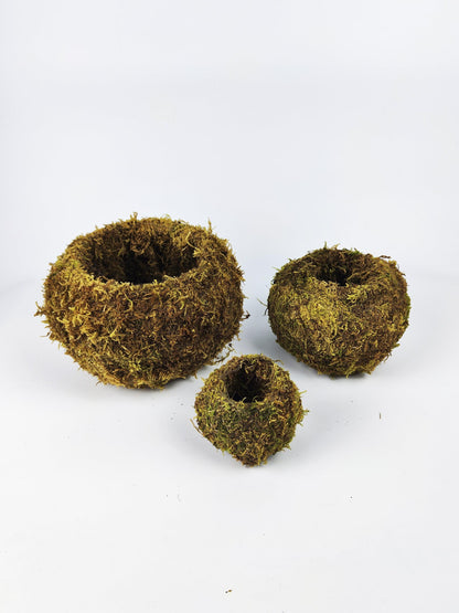 Maceta Kokedama L_5