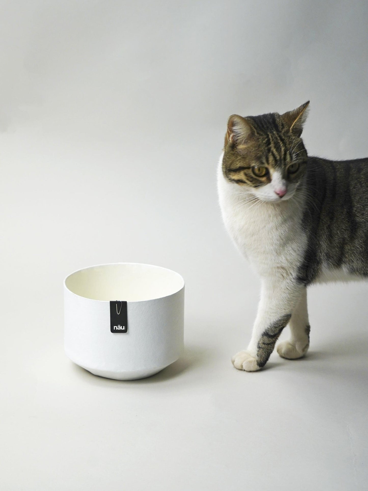 Macetero Ecológico Y Sostenible Alba_2